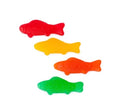Fish - Assorted
